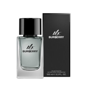 Mr Burberry Edt Spray