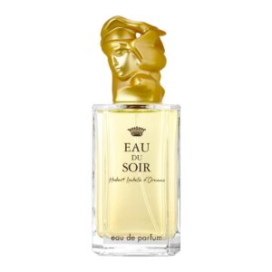 EAU DU SOIR eau de parfum spray 100 ml