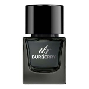 Burberry Mr. Burberry Edp Spray