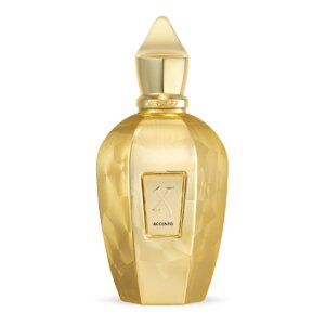 OVERDOSE ACCENT parfüümvesi 100 ml