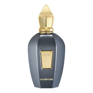 OUVERTURE edp vapor 100 ml