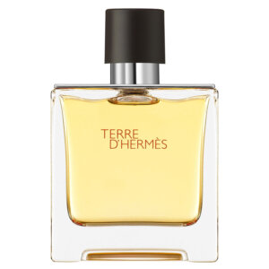 Hermes Terre D’Hermes Parfum Spray