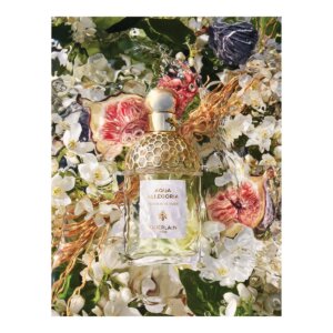Guerlain Aqua Allegoria Nerolia Vetiver Edt Spray