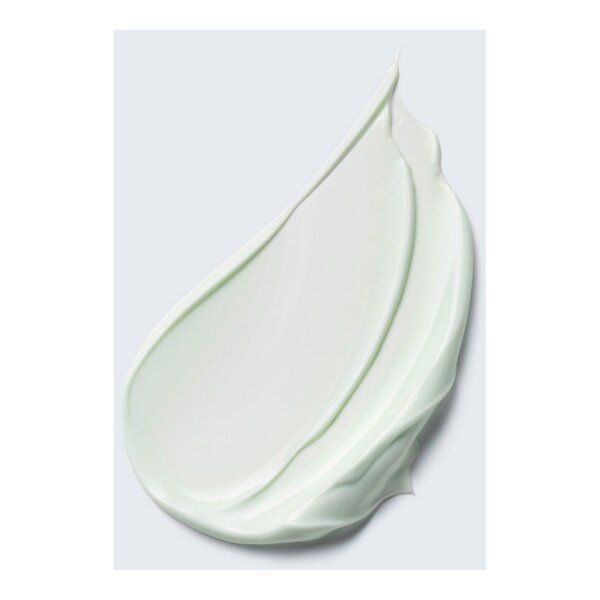 Estée Lauder DAYWEAR moisturizer multi-protection anti-oxidant 24h-moisture creme SPF15 50 ml