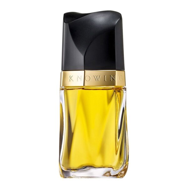 Estee Lauder Knowing Edp Spray Estee Lauder Knowing Edp Spray
