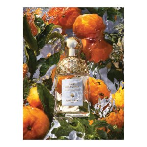 Guerlain AQUA ALLEGORIA MANDARINE BASILIC eau de toilette spray 125 ml