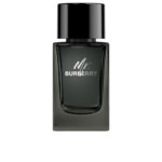 Mr Burberry Eau De