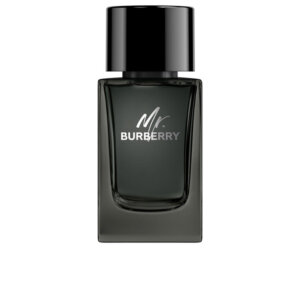 Mr Burberry Eau De
