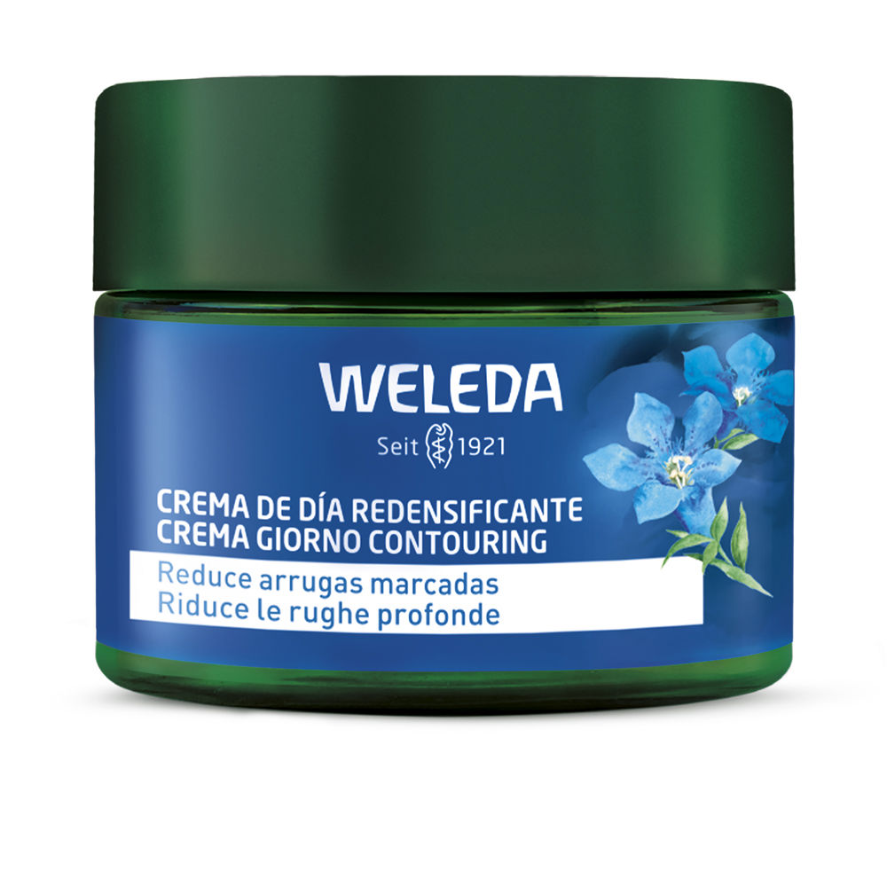 Blue Gencentian And Edelweiss