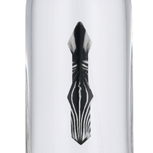 Kenzo Jungle Man Edt Spray