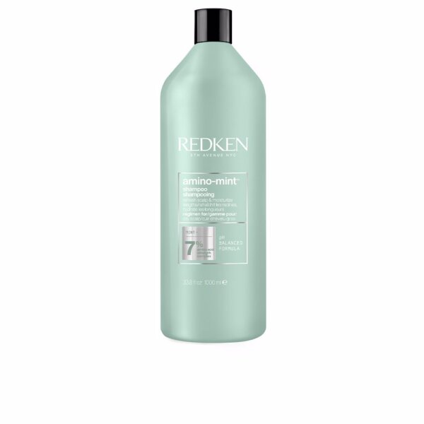 Amino Mint Shampoo Redken Amino Mint Shampoo Šampoon