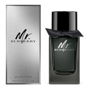 Mr Burberry Eau De Parfüümvesi