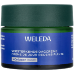 Blue Gentian And Edelweiss