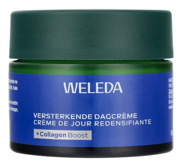 Blue Gentian And Edelweiss