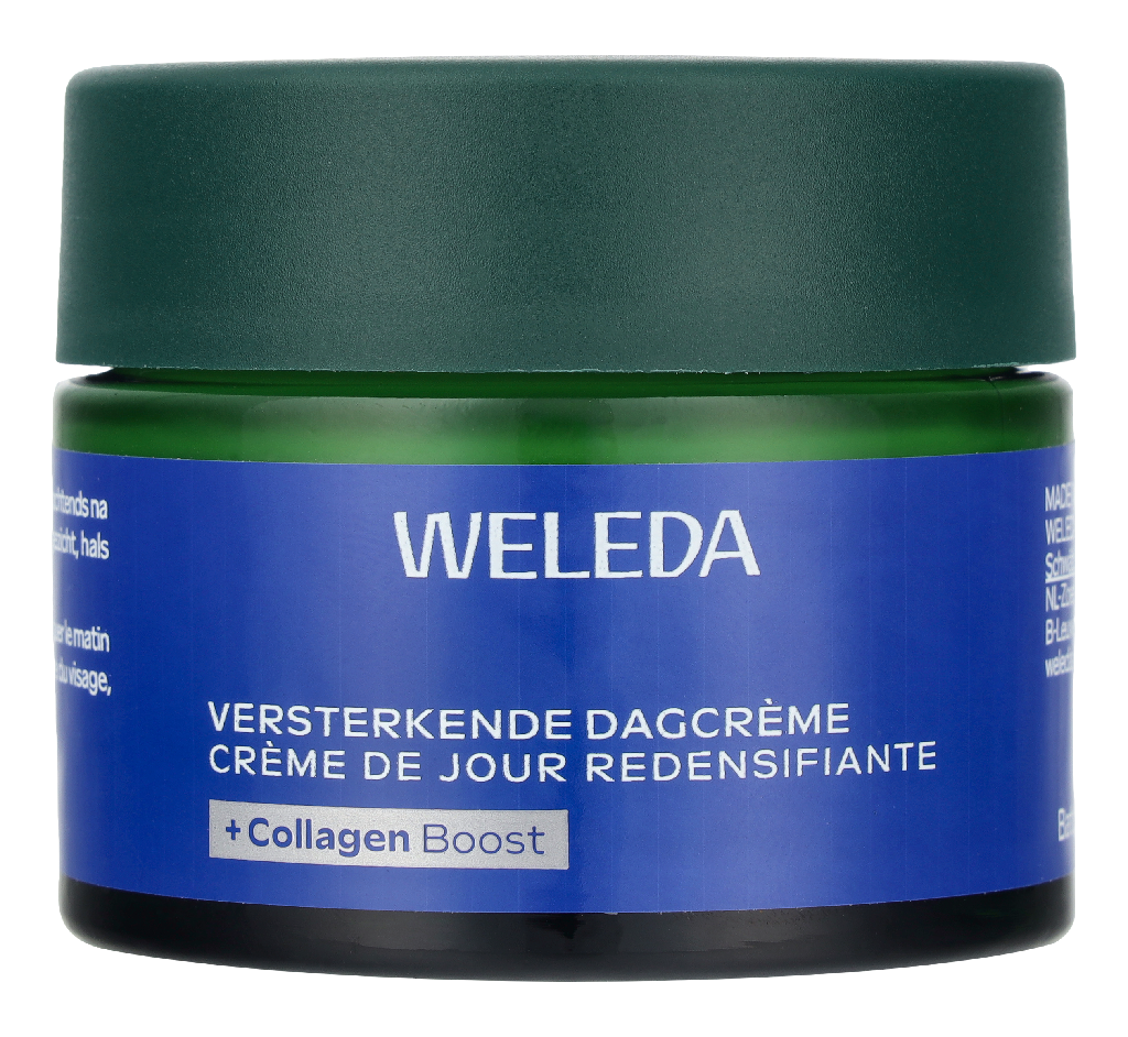 Blue Gentian And Edelweiss