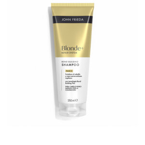 Blonde Repair System Champu