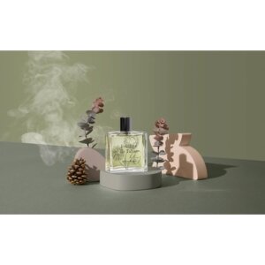 Feuilles De Tabac