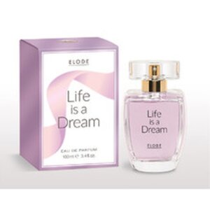 Life Is A Dream