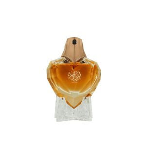 Oulil Amr Edp
