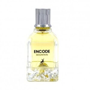 Encode Mountain Edp