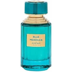Blue Meridian Edp