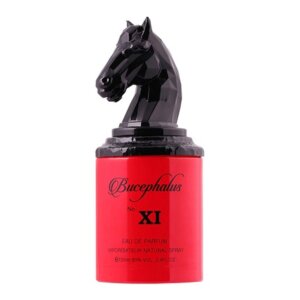 Bucephalus No Xi Edp
