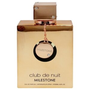 Club De Nuit Milestone 2