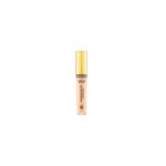 Parfaite Fix Concealer 5