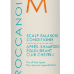 Scalp Balancing Conditioner Oily Palsam