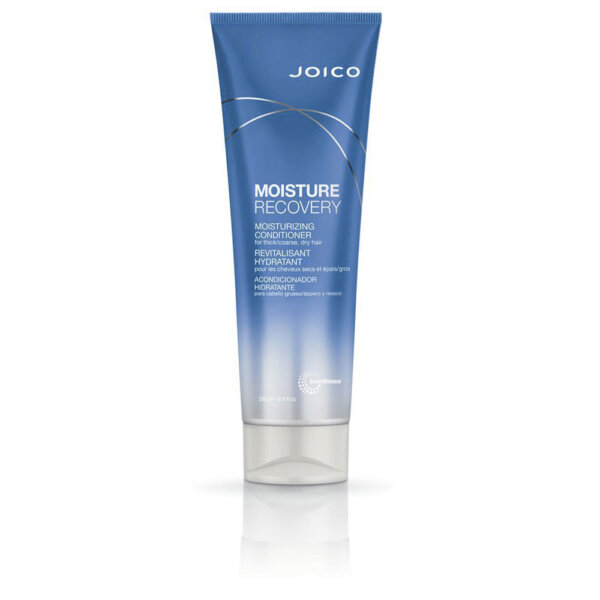 Moisture Recovery Conditioner For Dry Hair - Moisturizing conditioner Joico Moisture Recovery Conditioner Palsam