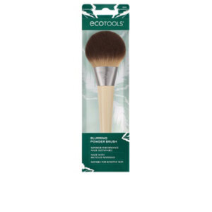 Blurring Powder Brush 1