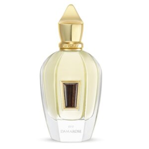 17 17 Damarose Edp