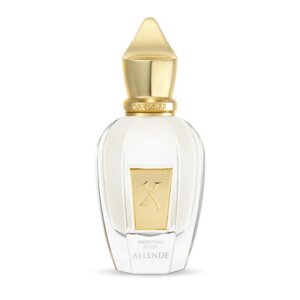 Xerjoff Allende Parfum