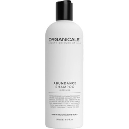 ABUNDANCE Restructuring Shampoo ( Moringa ) Abundance Restructuring Shampoo (