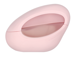 Ariana Grande Mod Blush Edp Spray