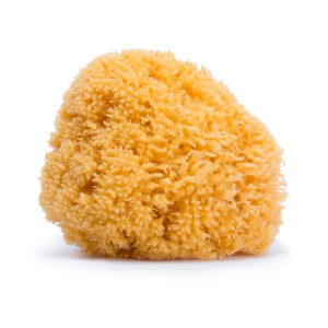Natural Sponge For Bath