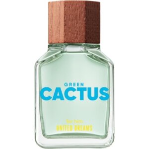 United Dreams Green Cactus
