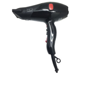 Windpro 3800 Professional Dryer