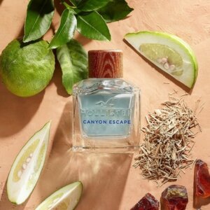 Hollister Canyon Escape for Him EDT 30 ml