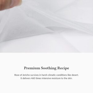 Oasis Soothing Mask Soothing