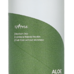 Isntree Aloe Tooner