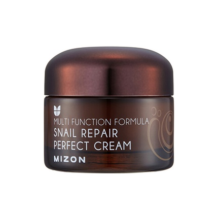 Face cream with snail secretion filtrate 60% for problematic skin (Snail Repair Perfect Cream) 50 ml Face Cream With Snail