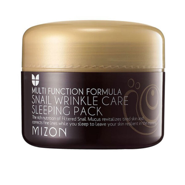 Snail Wrinkle Care Sleeping Pack - Regenerating night face mask with snail secretion filtrate 50% for skin rejuvenation and nutrition Snail Wrinkle Care Sleeping