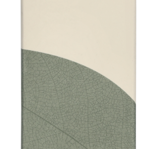 Isntree Mugwort Calming Ampoule