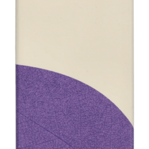 Isntree Onion Newpair B5 Ampoule