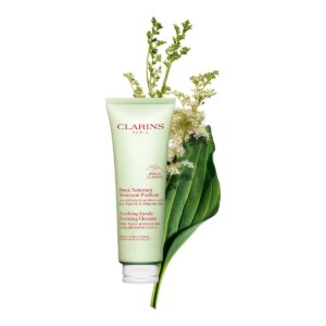 Clarins Purifying Gentle Foaming Cleanser
