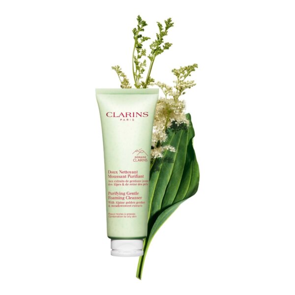 Clarins Purifying Gentle Foaming Cleanser