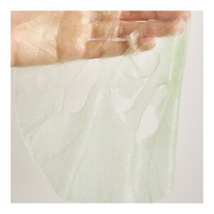Axis-Y Mugwort Green Vital Engery Complex Sheet Mask