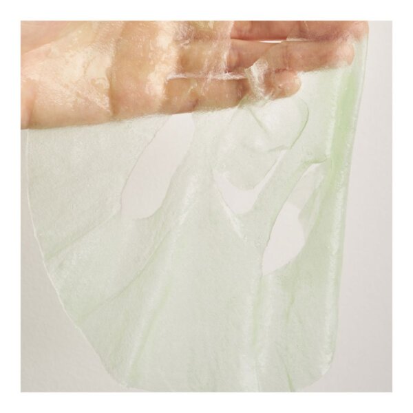 Axis-Y Mugwort Green Vital Engery Complex Sheet Mask