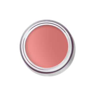 Bobbi Brown Pot Rouge Velvet Matte Creme Blush
